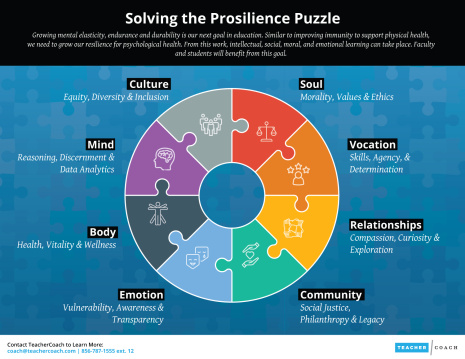 Solving the Prosilience Puzzle Infographic v2